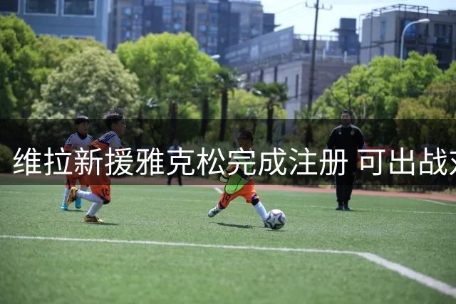 维拉新援雅克松完成注册 可出战对阵枪手关键战
